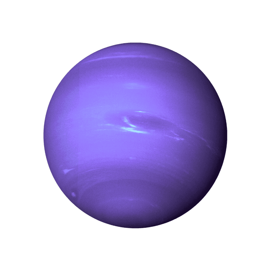 Plant Purple